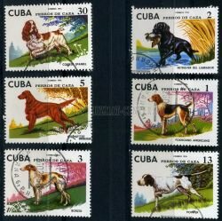 Куба 6 почтовых марок 1976 г. Собаки