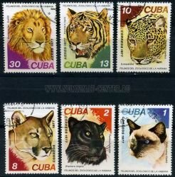 Куба 6 почтовых марок 1977 г. Кошки