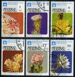 Куба 6 почтовых марок 1978 г. Кактусы
