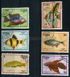 Куба 6 почтовых марок 1977 г. "Аквариумные рыбки"